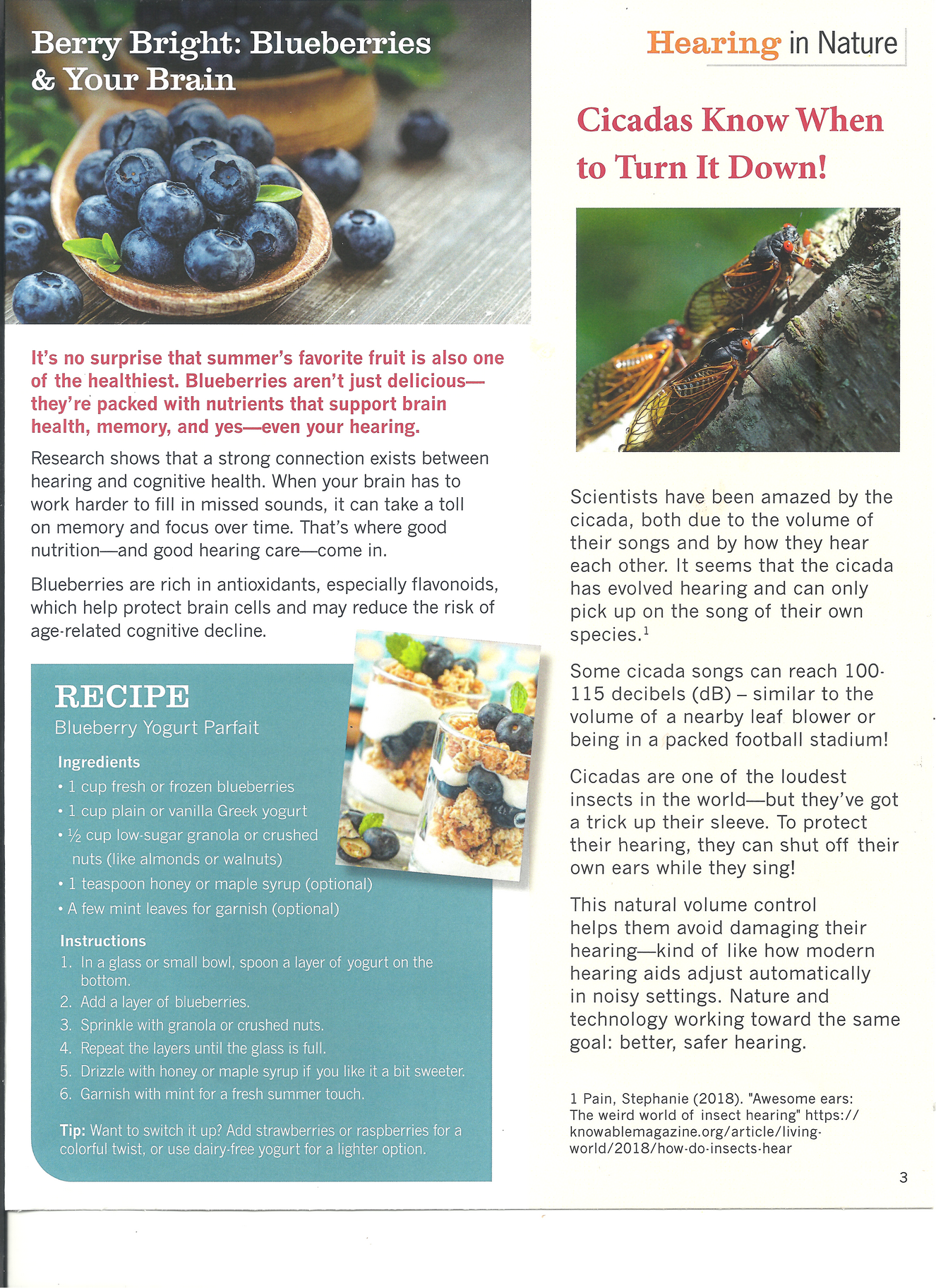 Summer Newsletter Page 3 001