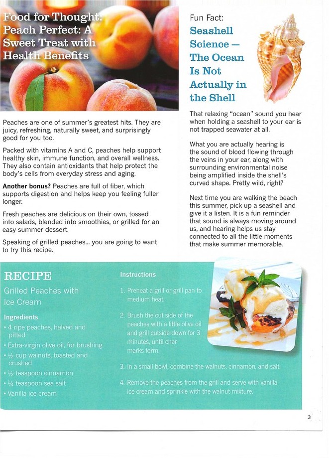Newsletter Summer 26 Page 3