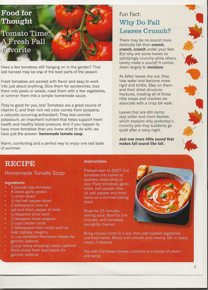 Fall Page3
